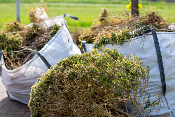 Basement Cleanout Services in Lake Arrowhead, ME